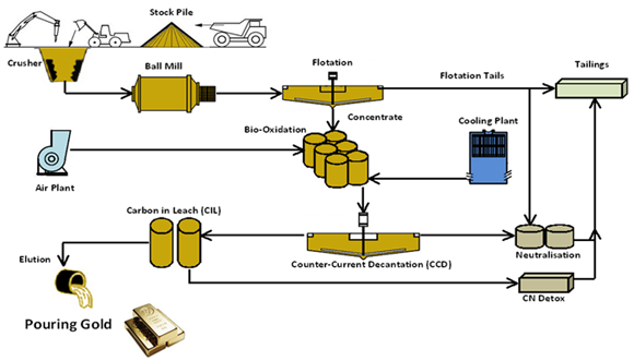 Flow Chart Of Gold